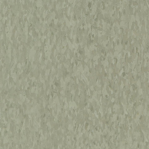 Armstrong 51885 Granny Smith Standard Excelon Imperial Texture Vinyl Composition Tile VCT 12" x 12" (45 SF/Box)